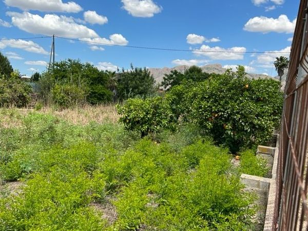 Finca rústica En Venta