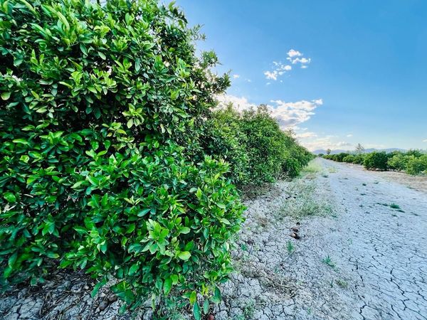 Terreno / No urbanizable En Venta
